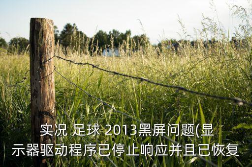  實況 足球 2013黑屏問題(顯示器驅動程序已停止響應并且已恢復