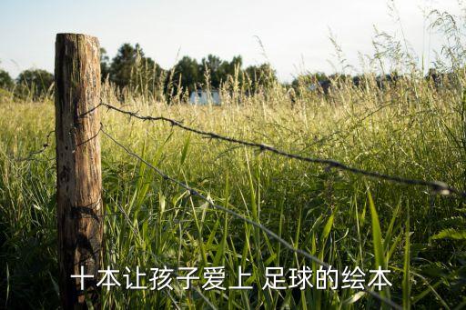 足球解密 書,關于足球的書