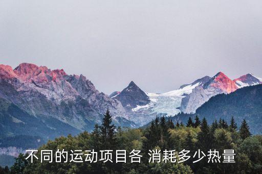 不同的運(yùn)動(dòng)項(xiàng)目各 消耗多少熱量