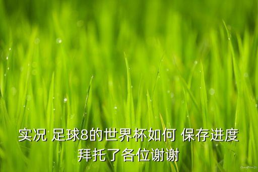 實況 足球8的世界杯如何 保存進度拜托了各位謝謝