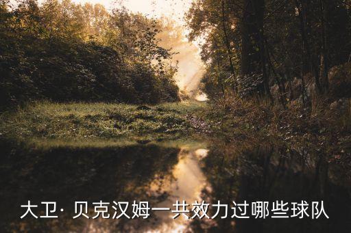 大衛(wèi)· 貝克漢姆一共效力過哪些球隊