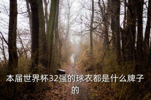 本屆世界杯32強的球衣都是什么牌子的