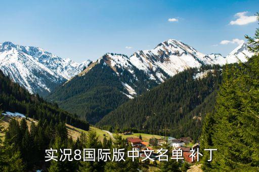  實(shí)況8國(guó)際版中文名單 補(bǔ)丁