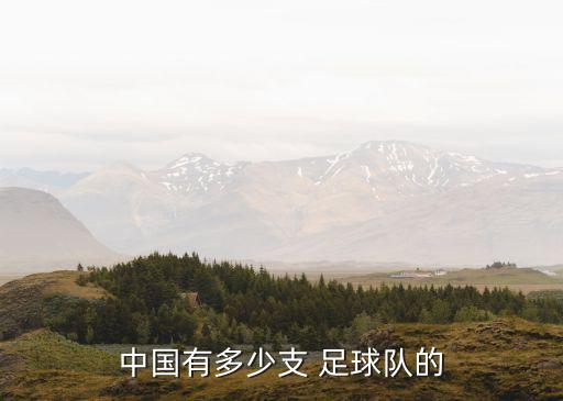 足球國家隊河南,2022足球國家隊排行