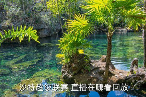  沙特超級(jí)聯(lián)賽 直播在哪看回放