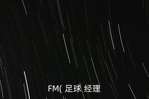 FM( 足球 經理