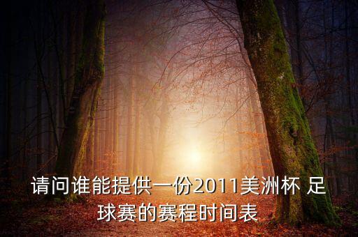 委內(nèi)瑞拉足球丙級(jí)聯(lián)賽