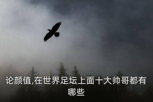 綠茵場(chǎng)上足球美女,奔跑在綠茵場(chǎng)上的足球少年