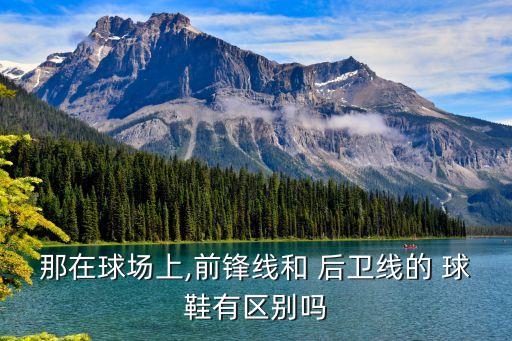 那在球場(chǎng)上,前鋒線和 后衛(wèi)線的 球鞋有區(qū)別嗎