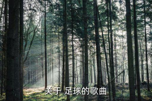 關(guān)于 足球的歌曲