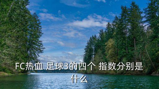 FC熱血 足球3的四個(gè) 指數(shù)分別是什么