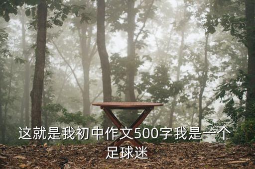 這就是我初中作文500字我是一個 足球迷