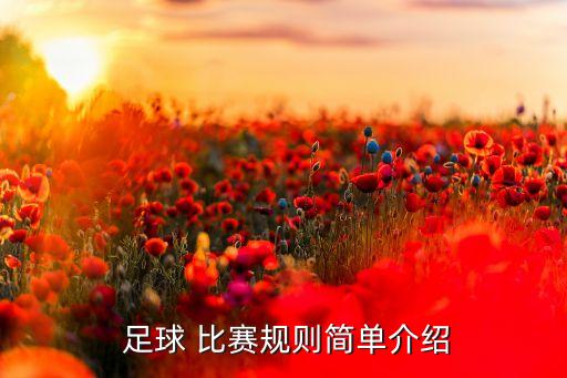  足球 比賽規(guī)則簡單介紹