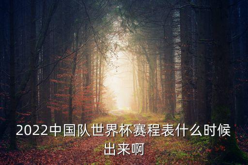 中國杯足球決賽時(shí)間,2022足球杯決賽結(jié)果