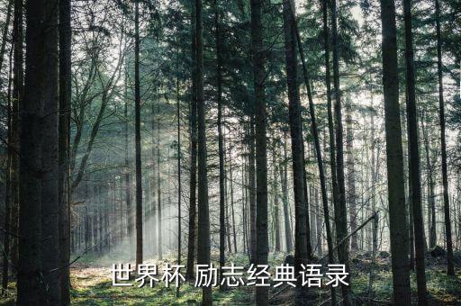世界杯 勵志經(jīng)典語錄