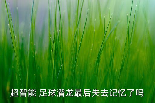 超智能 足球潛龍最后失去記憶了嗎