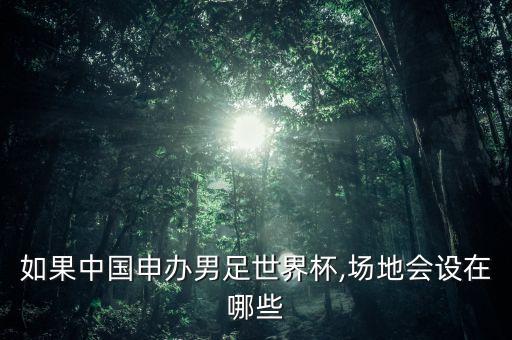 如果中國(guó)申辦男足世界杯,場(chǎng)地會(huì)設(shè)在哪些