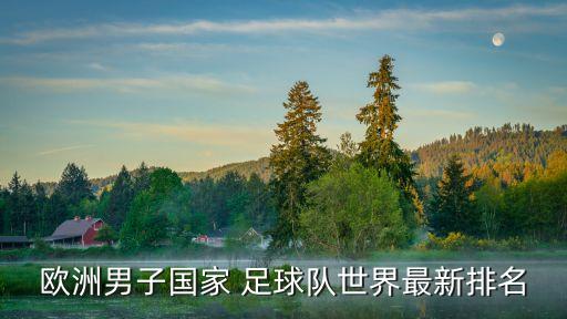 歐洲男子國家 足球隊世界最新排名