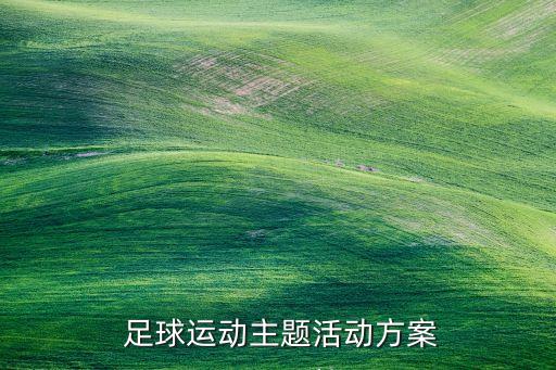  足球運(yùn)動(dòng)主題活動(dòng)方案