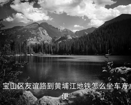 寶山區(qū)友誼路到黃埔江地鐵怎么坐車(chē)方便