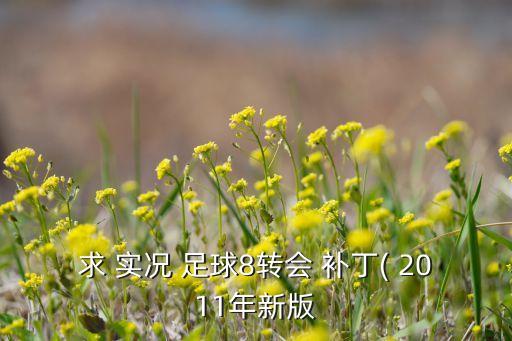 求 實(shí)況 足球8轉(zhuǎn)會(huì) 補(bǔ)丁( 2011年新版