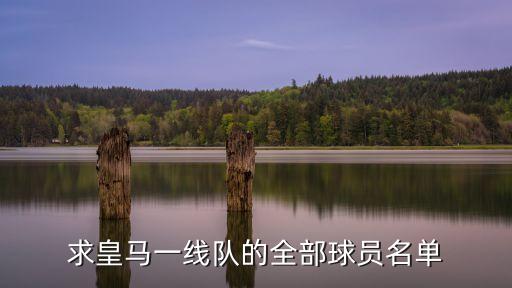 求皇馬一線隊(duì)的全部球員名單