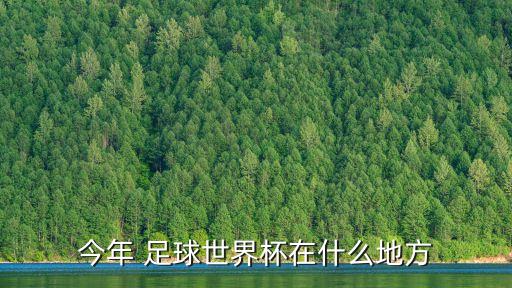 今年 足球世界杯在什么地方
