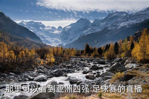龍華 看足球比賽,龍華2023年足球比賽