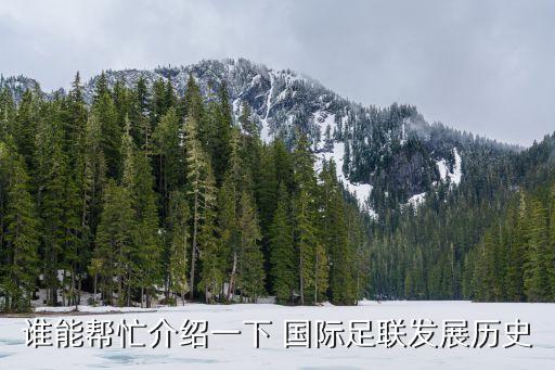 誰能幫忙介紹一下 國際足聯發(fā)展歷史