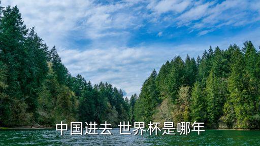 中國進去 世界杯是哪年