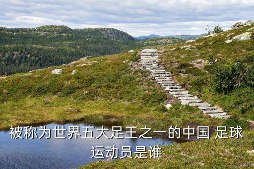 中國(guó)足球明星圖片和名字,明星圖片猜名字及答案