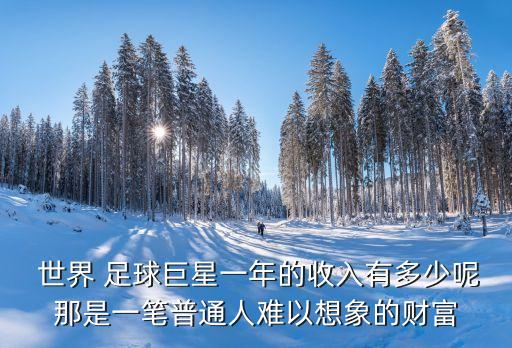 2018年世界足球運(yùn)動(dòng)員工資排名