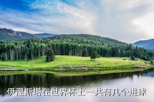 勝利船足球俱樂(lè)部,利雅得勝利足球俱樂(lè)部厲害嗎