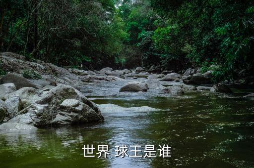 世界 球王是誰(shuí)