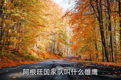 阿根廷國(guó)家隊(duì)叫什么雄鷹