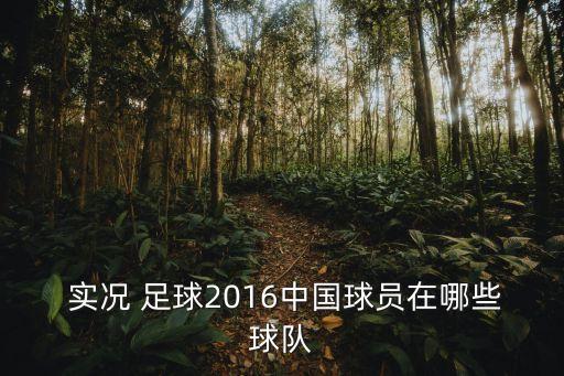  實(shí)況 足球2016中國(guó)球員在哪些球隊(duì)