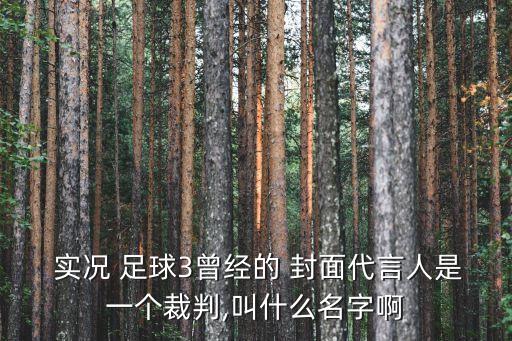 2012實(shí)況足球封面是誰,實(shí)況足球封面四個人物
