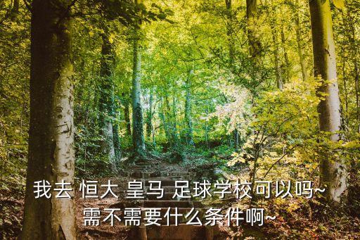 我去 恒大 皇馬 足球學校可以嗎~需不需要什么條件啊~