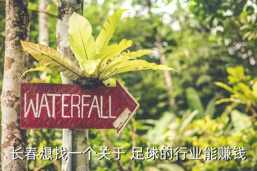 長春想找一個關于 足球的行業(yè)能賺錢