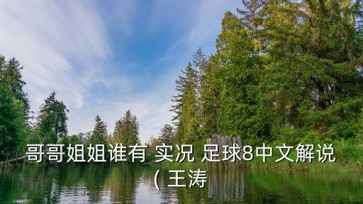哥哥姐姐誰有 實(shí)況 足球8中文解說( 王濤