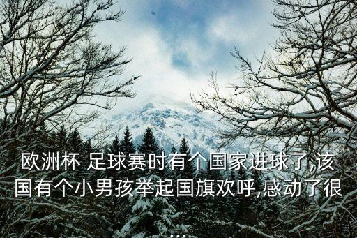 歐洲杯 足球賽時有個國家進球了,該國有個小男孩舉起國旗歡呼,感動了很...