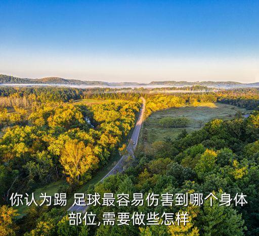 你認為踢 足球最容易傷害到哪個身體部位,需要做些怎樣