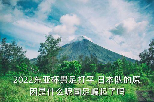 中國對日本隊足球賽,足球賽日本隊波風(fēng)水門