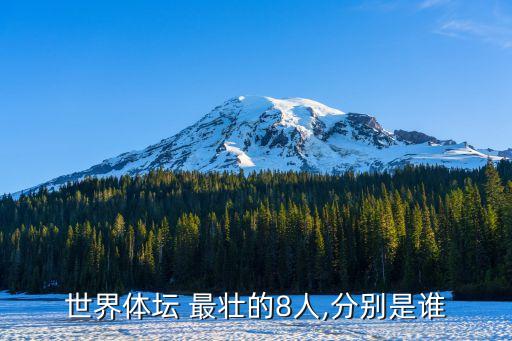 足球史上最壯的人
