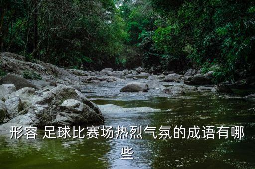 足球狂歡場面,足球場面描寫片段
