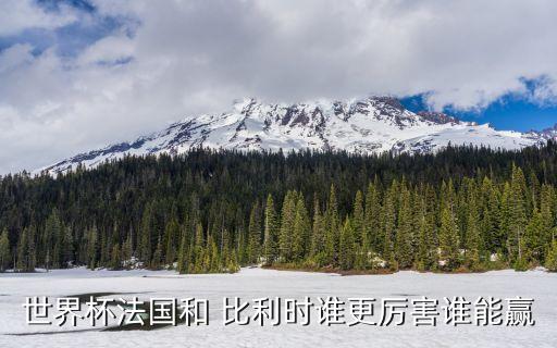 比利時(shí)對(duì)荷蘭足球比分預(yù)測(cè),威爾士vs比利時(shí)比分預(yù)測(cè)