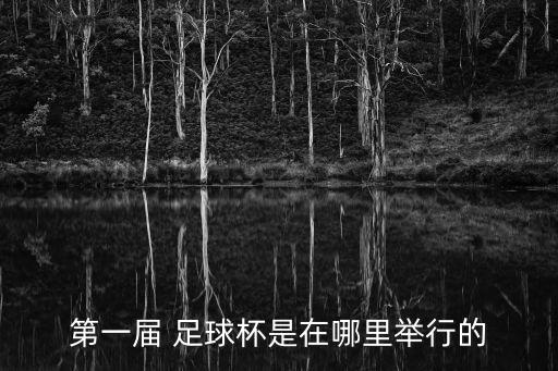 第一屆 足球杯是在哪里舉行的