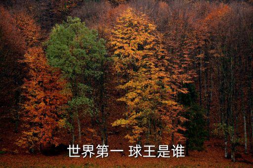 世界第一 球王是誰(shuí)