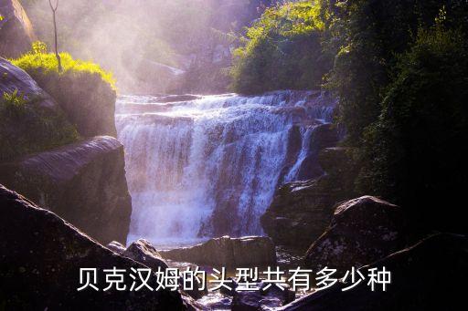 歐美足球發(fā)型圖片大全圖片欣賞,歐美長(zhǎng)發(fā)卷發(fā)發(fā)型圖片大全