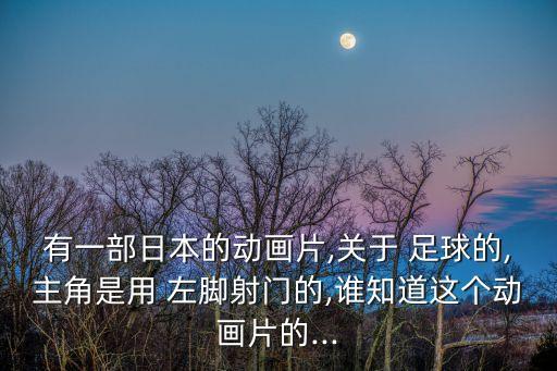 有一部日本的動(dòng)畫(huà)片,關(guān)于 足球的,主角是用 左腳射門(mén)的,誰(shuí)知道這個(gè)動(dòng)畫(huà)片的...